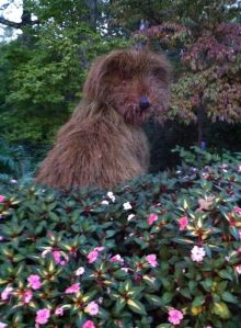 Atlanta Botanical Gardens