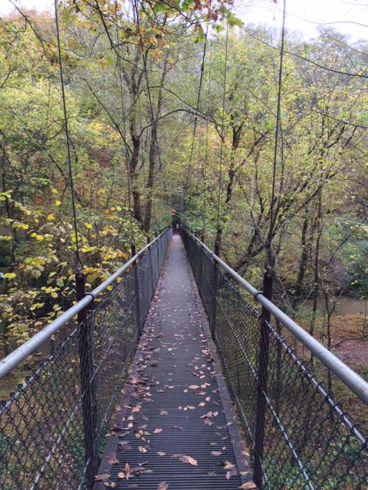 12208351_10205395110539744_6141381412338517352_n