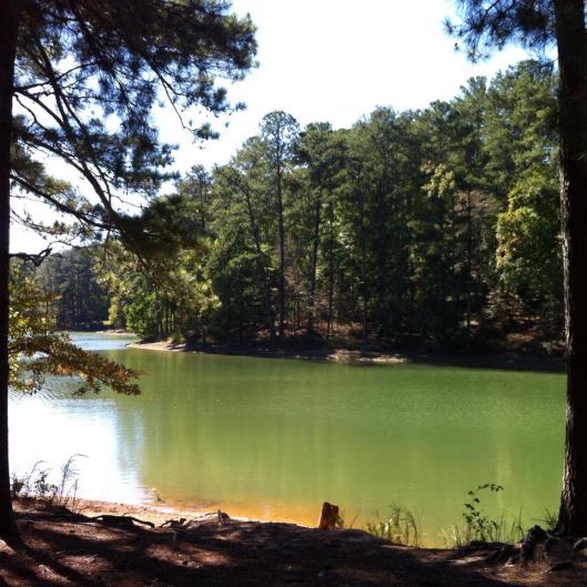 68959_10203084538816895_6940294629415197201_n