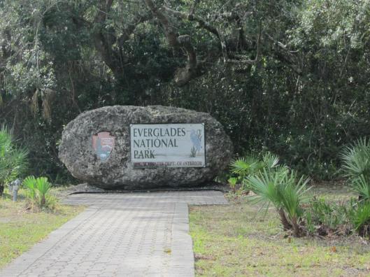 Everglades 1