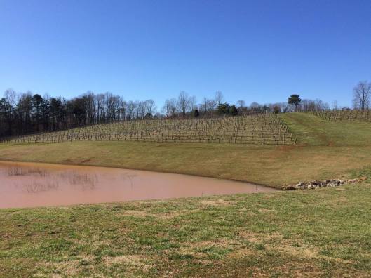 12961309_10206383857337796_4509062484447066364_o