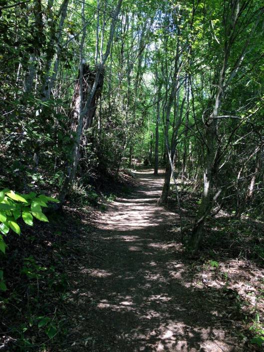 chattahoochee-river-nra-4