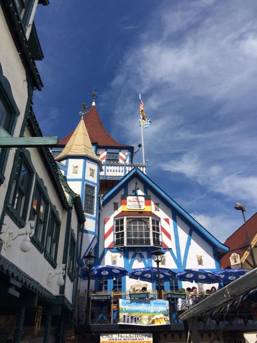 1901129_10205192089464344_340040755942873751_n