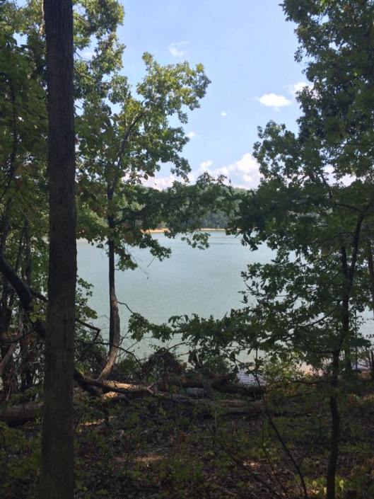 14731173_10207661651441850_4044663839046237179_n