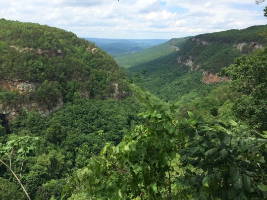 cloudland-canyon-2