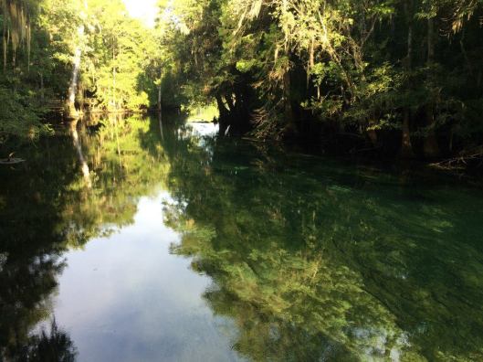 11231196_10204709234073261_9193606277100925074_n