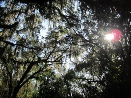 11412345_10204560123145581_5511392860493773245_n