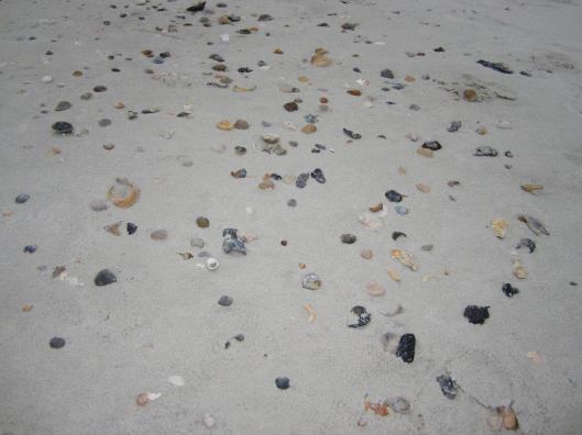 12525663_10205801216652143_6269451274775721426_o