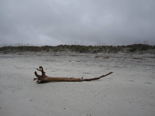 12605347_10205801221932275_5111831362516013807_o