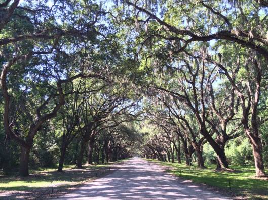 14054355_10207269404675926_2957390150248545657_o