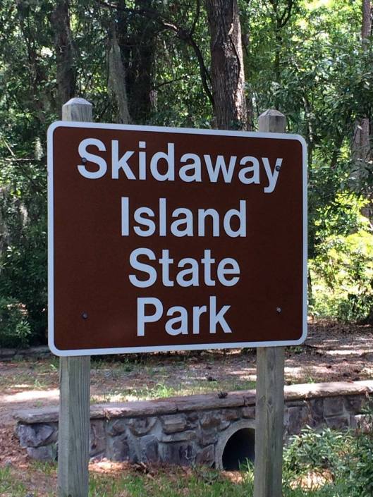 14115051_10207269408356018_7811897447108037776_o