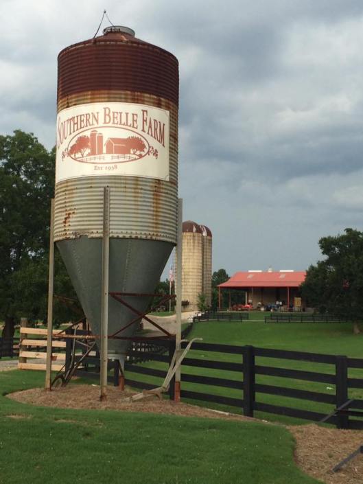 14716174_10207661536238970_5483740369451259561_n