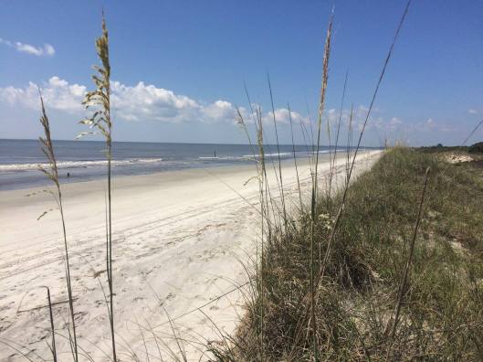 14047251_10207269353594649_8999556215006151522_o