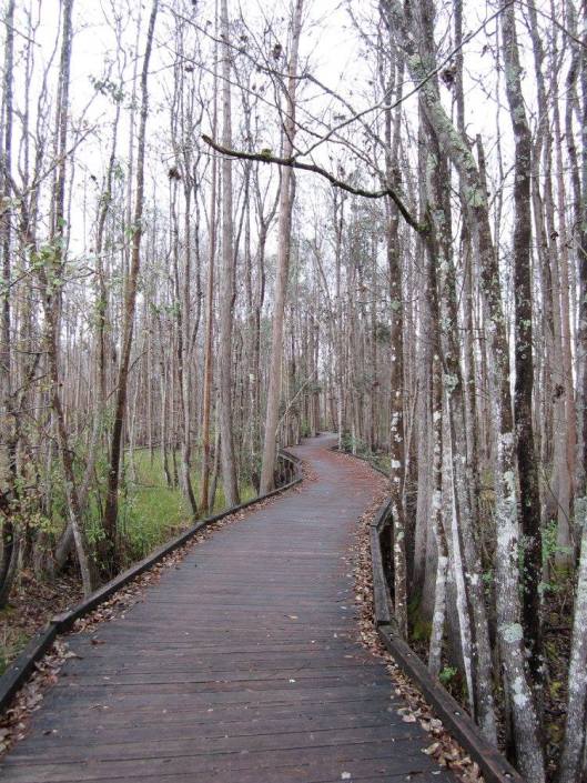 12747952_10205964010561889_8464142432515181066_o