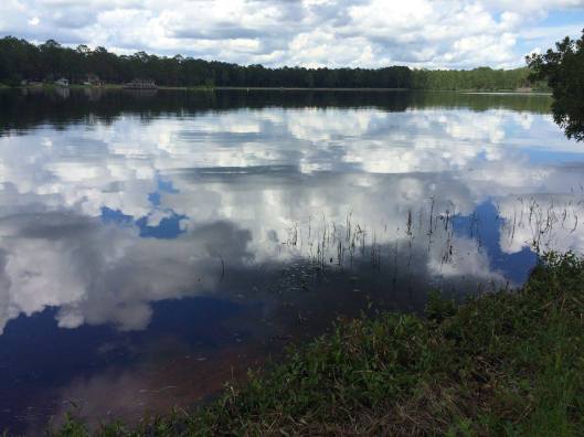 14124344_10207269310633575_7534054180949039027_o