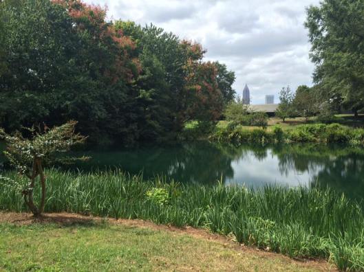 14563345_10207661653201894_2151410050246781176_n