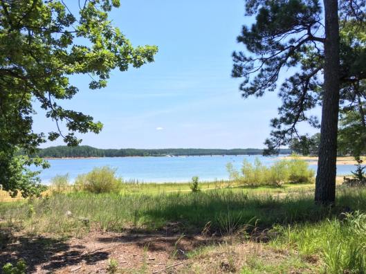 22089143_10210589983248315_272542338509946018_n