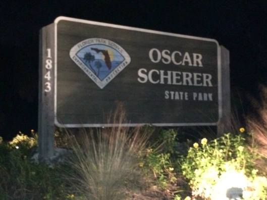 1779088_10204560193987352_9036089829501906113_n