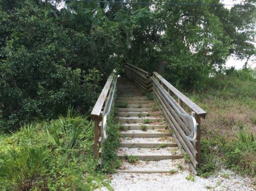 11695004_10204709207752603_5607649736183980260_n