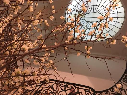 28575623_10211765779762493_2791484015745658478_n