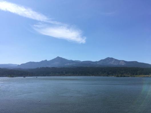 40881098_10213163802152179_7473483523014262784_n