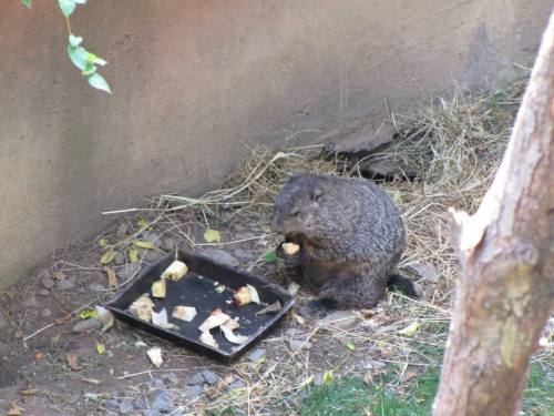 734368_10152100592704918_887410546_n