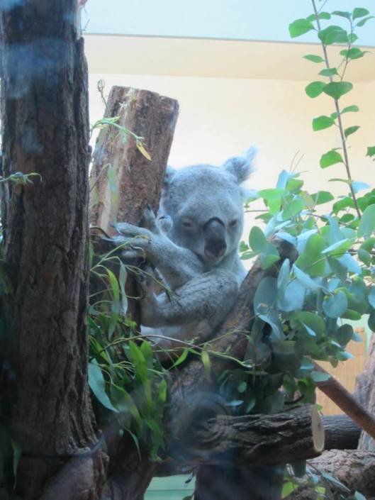 1238142_10200533515762913_663346018_n