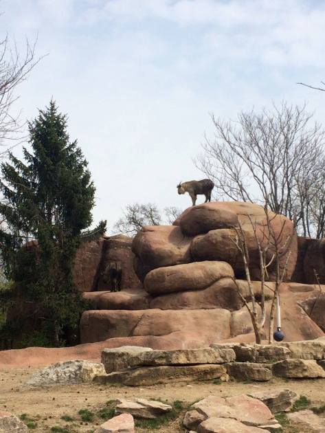 12967981_10206410402041397_7765043719994662297_o