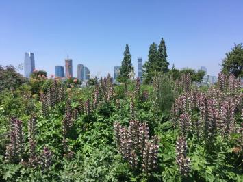 49344903_10214058818887038_7722077471352291328_n