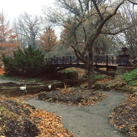 368E51DC-8A48-4D01-8D91-BD7B20C9BF4E