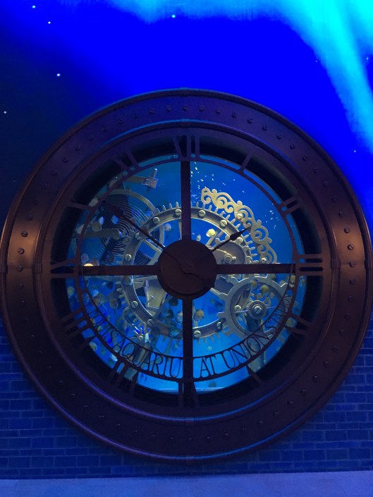 St. Louis Aquarium 1